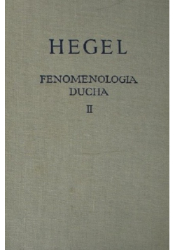 Fenomenologia ducha Tom II