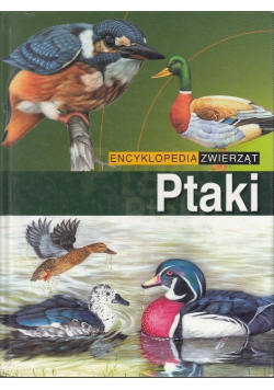 Encyklopedia Zwierząt Ptaki