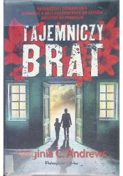 Tajemniczy brat