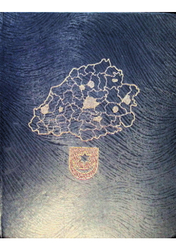 Województwo Tarnowskie monografia