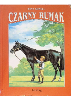 Czarny rumak