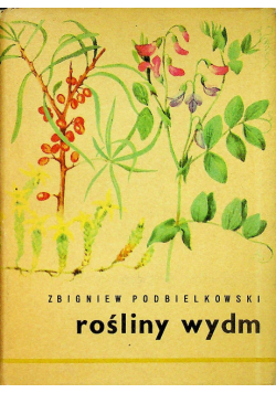 Rośliny wydm