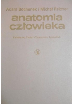 Anatomia człowieka Tom IV