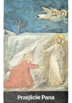 Przejście Pana