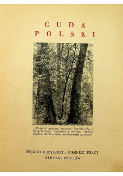Puszcze polskie 1936 r.