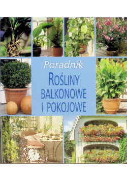Rośliny balkonowe i pokojowe