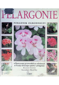 Pelargonie poradnik ogrodniczy