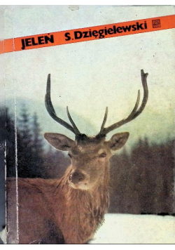 Jeleń