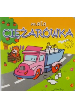 Mała ciężarówka