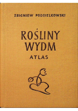 Rośliny wydm Atlas