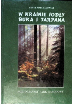 W krainie jodły buka i tarpana