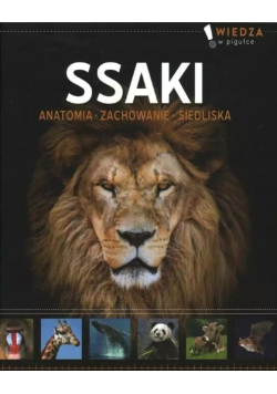 Ssaki Anatomia, Zachowanie,  Siedliska