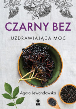 Czarny bez. Uzdrawiająca moc