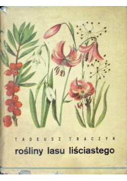 Rośliny lasy liściastego