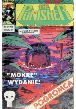 The punisher Nr 6