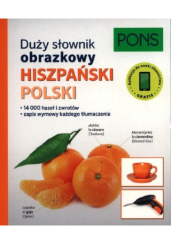 Duży słownik obrazkowy Hiszpański