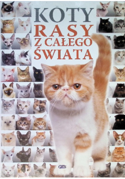 Koty Rasy z całego świata