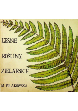 Leśne rośliny zielarskie