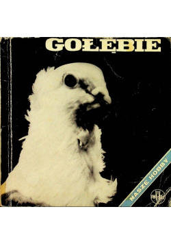 Gołębie nasze hobby