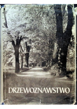 Drzewoznawstwo