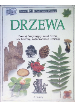 Patrzę Podziwiam Poznaję Drzewa