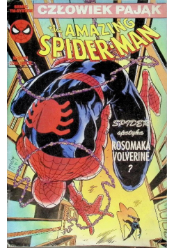 The amazing Spiderman Nr 6 / 91