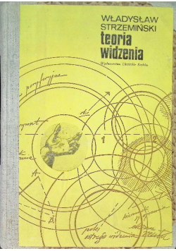 Teoria widzenia