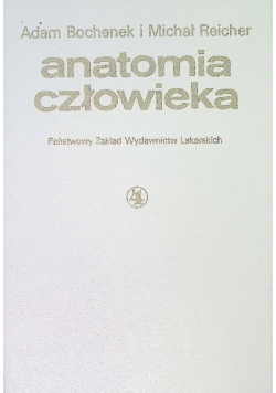 Anatomia człowieka