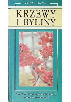 Popularne krzewy i byliny