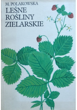 Leśne rośliny lekarskie