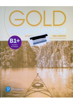 Gold Experience Workbook