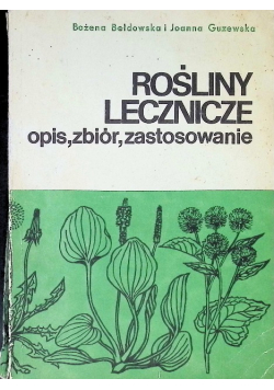 Rośliny lecznicze opis zbiór zastosowanie