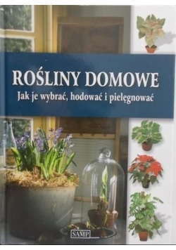 Rośliny domowe Jak je wybrać hodować i pielęgnować