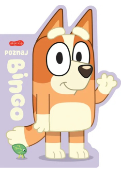 Poznaj Bingo