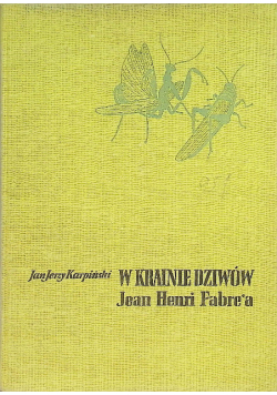 W krainie dziwów