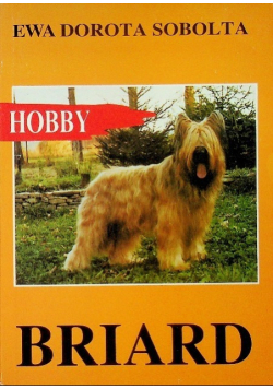 Briard