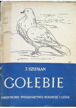 Gołębie