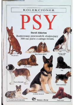 Psy