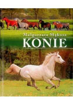 Konie