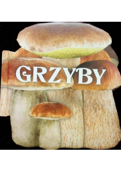 Grzyby