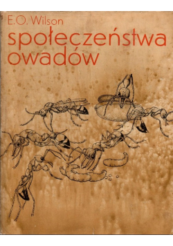 Społeczeństwa owadów