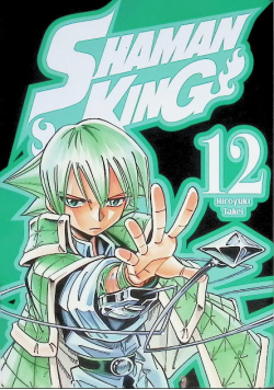 Shaman King . Tom 12