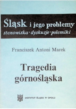 Tragedia Górnośląska, stanowiska, dyskusje, polemiki