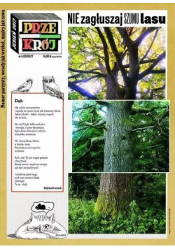 Przekrój Nr 4 / 17 Nie zagłuszaj szumu lasu