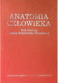 Anatomia człowieka