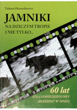 Jamniki na dziczym tropie i nie tylko