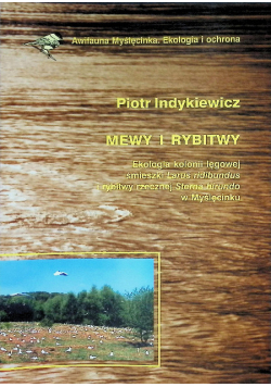 Mewy i rybitwy