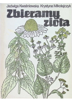 Zbieramy zioła
