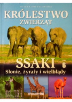 Królestwo zwierząt Ssaki drapieżne