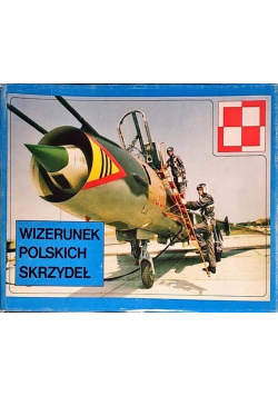 Wizerunek polskich skrzydeł